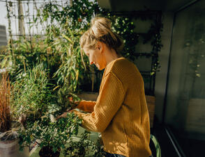 Ruhige Lage mit Wohlfühloase