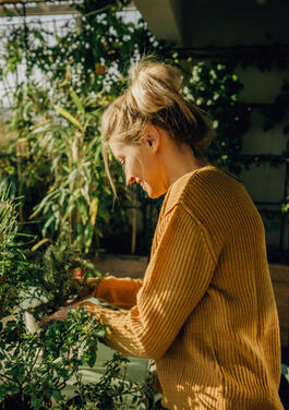 Ruhige Lage mit Wohlfühloase