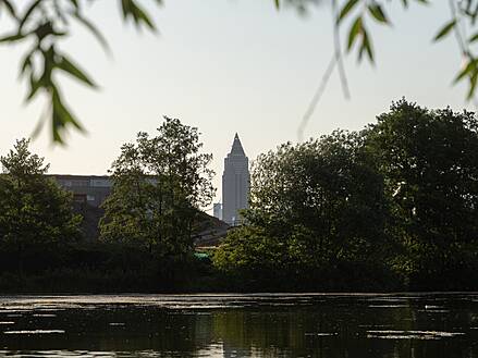 Aussicht auf die Frankfurter Skyline im Rebstockpark