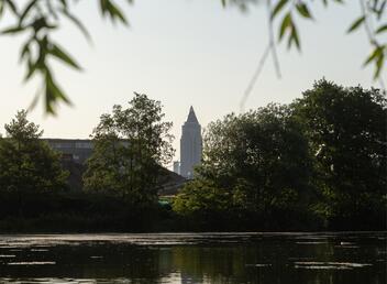 Aussicht auf die Frankfurter Skyline im Rebstockpark