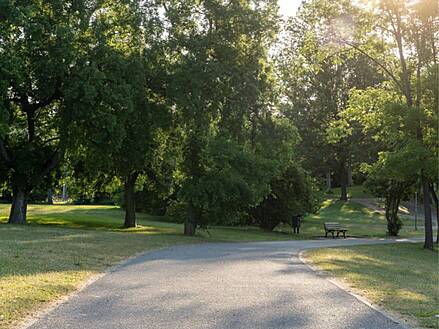 Ausblick auf den Rebstockpark in der Nähe des PARKTRIO